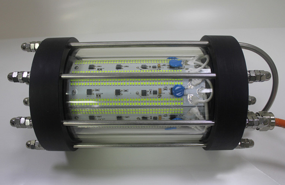 Lumières de pêche menées vertes submersibles d'acier inoxydable avec la résistance à la corrosion